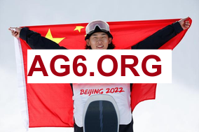 英超第24轮布莱顿vs埃弗顿全场比赛录像回放2026年2月1日